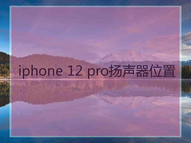 iphone 12 pro扬声器位置