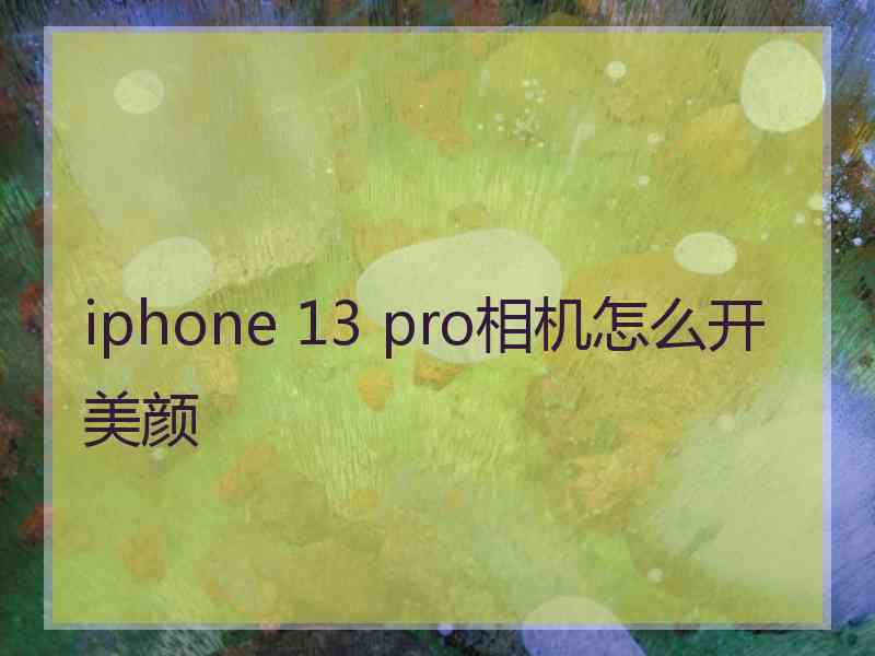 iphone 13 pro相机怎么开美颜