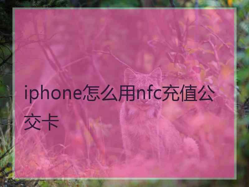 iphone怎么用nfc充值公交卡