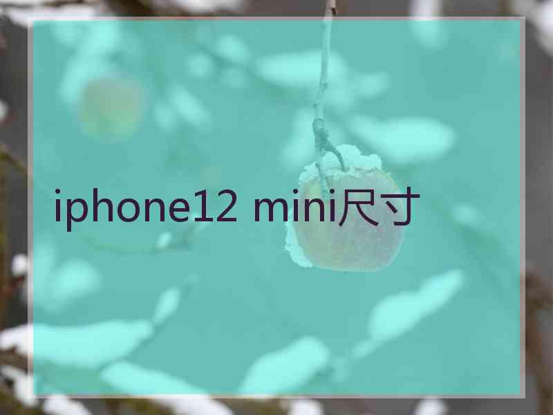 iphone12 mini尺寸