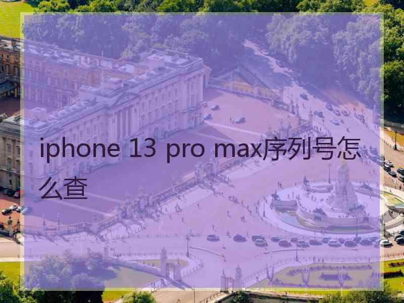 iphone 13 pro max序列号怎么查