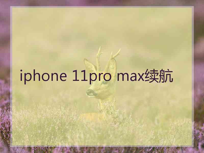 iphone 11pro max续航