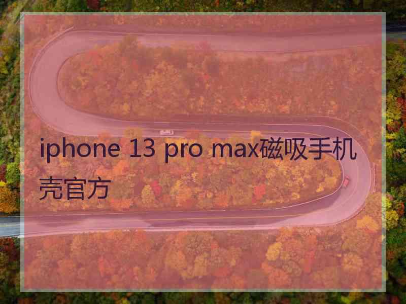 iphone 13 pro max磁吸手机壳官方