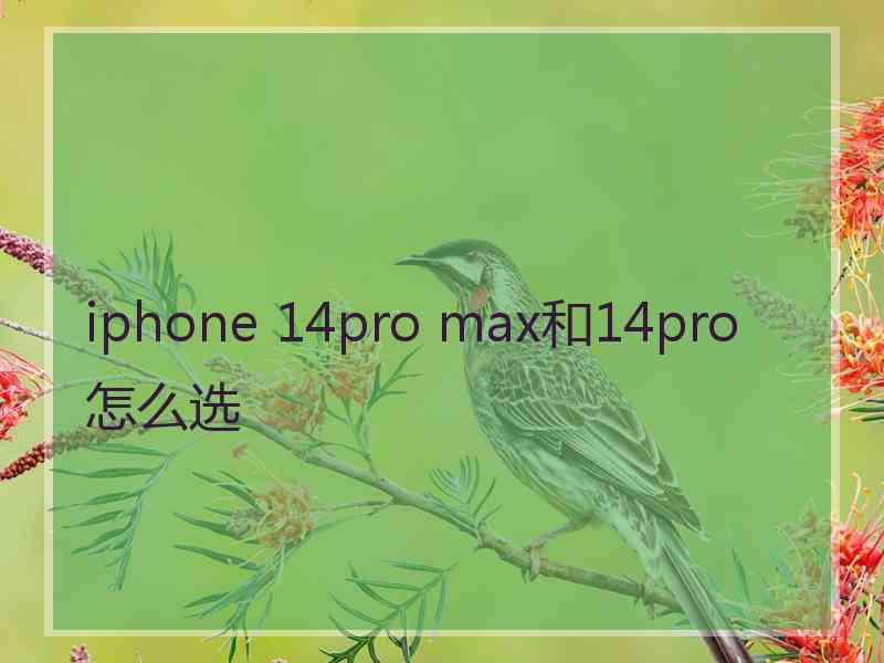 iphone 14pro max和14pro怎么选