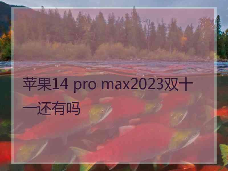 苹果14 pro max2023双十一还有吗