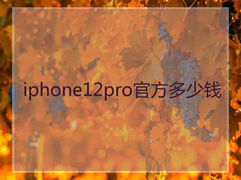 iphone12pro官方多少钱