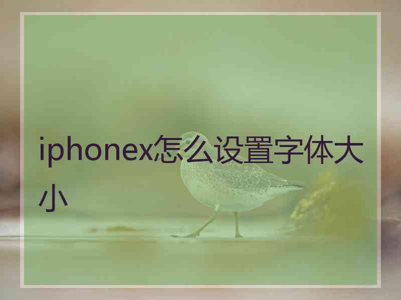 iphonex怎么设置字体大小