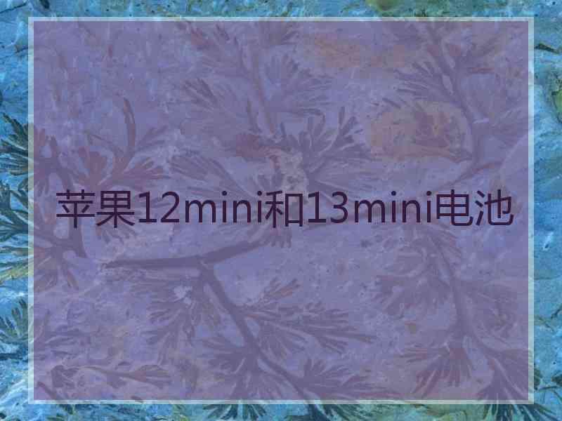 苹果12mini和13mini电池