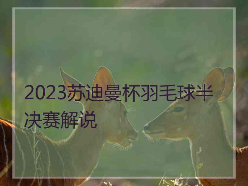 2023苏迪曼杯羽毛球半决赛解说