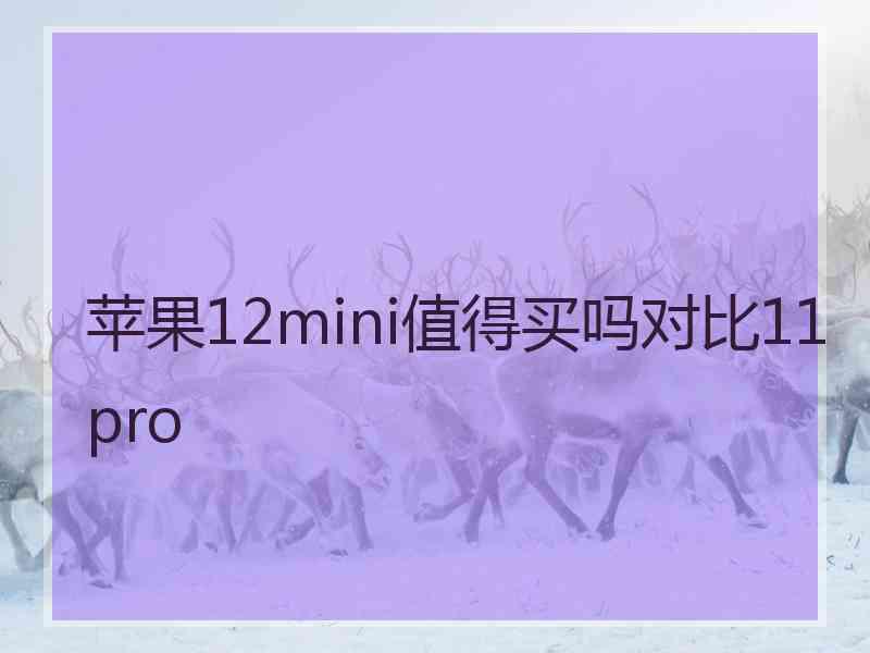 苹果12mini值得买吗对比11pro