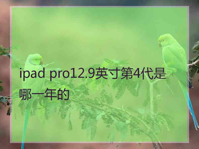 ipad pro12.9英寸第4代是哪一年的