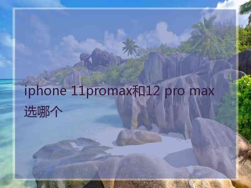 iphone 11promax和12 pro max选哪个