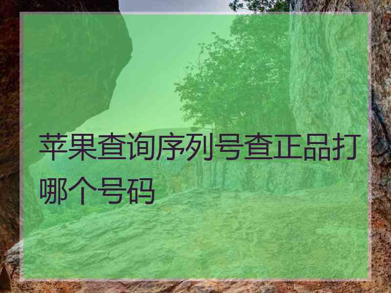 苹果查询序列号查正品打哪个号码