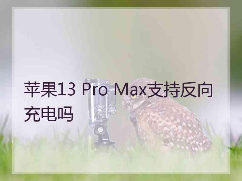 苹果13 Pro Max支持反向充电吗