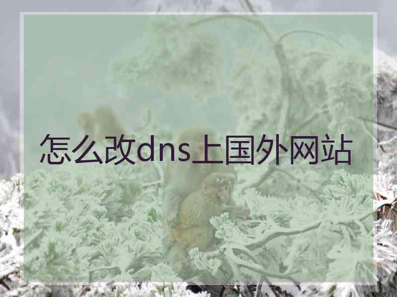 怎么改dns上国外网站