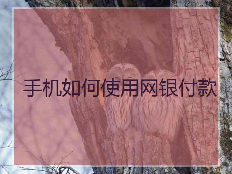 手机如何使用网银付款