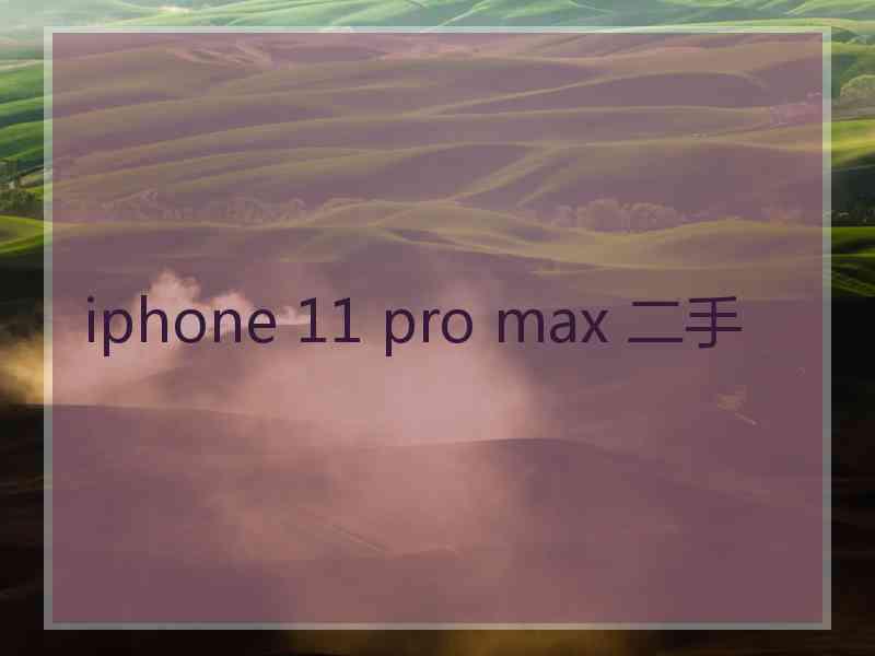 iphone 11 pro max 二手