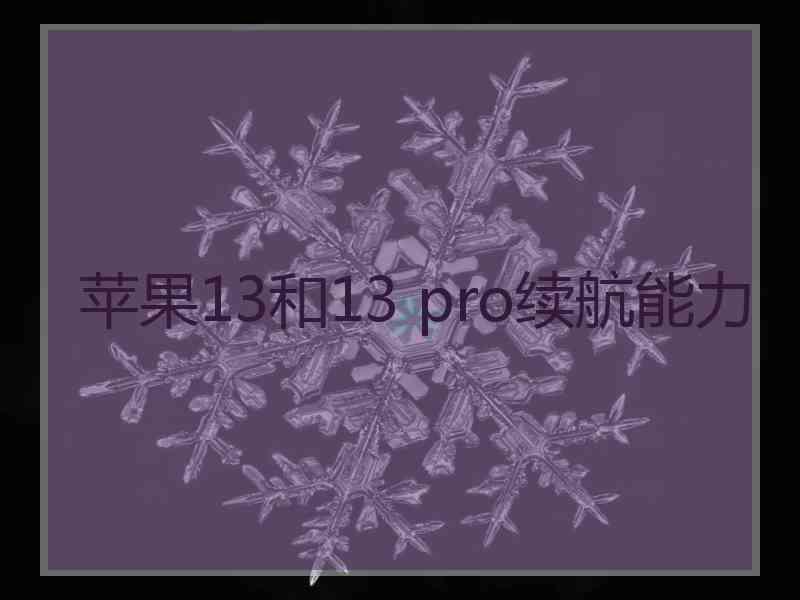 苹果13和13 pro续航能力