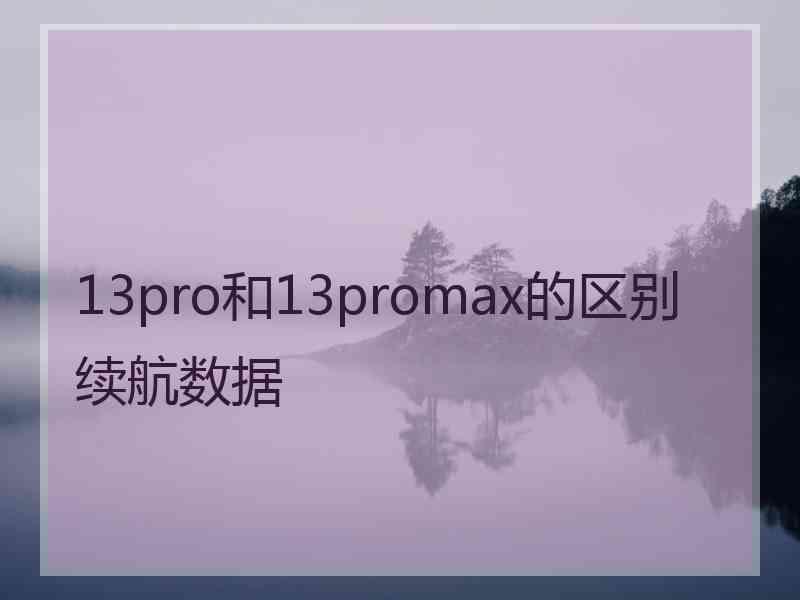 13pro和13promax的区别续航数据