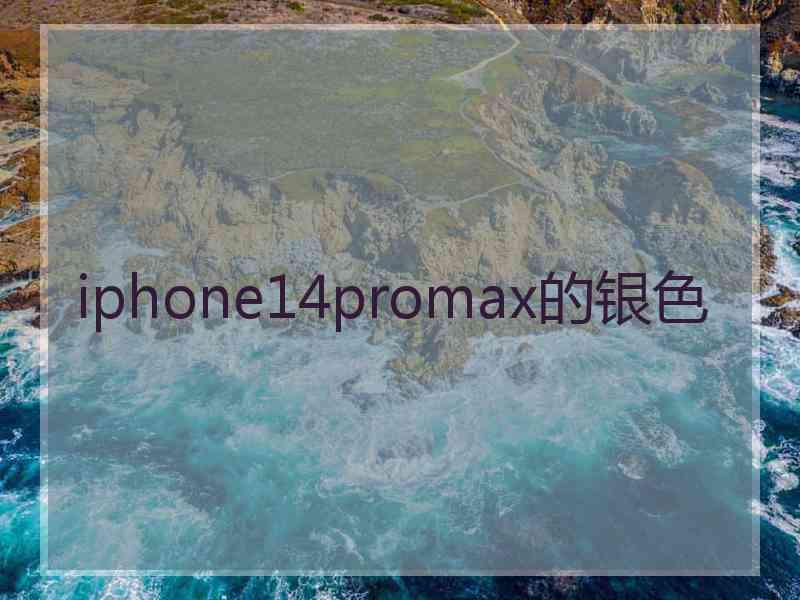 iphone14promax的银色