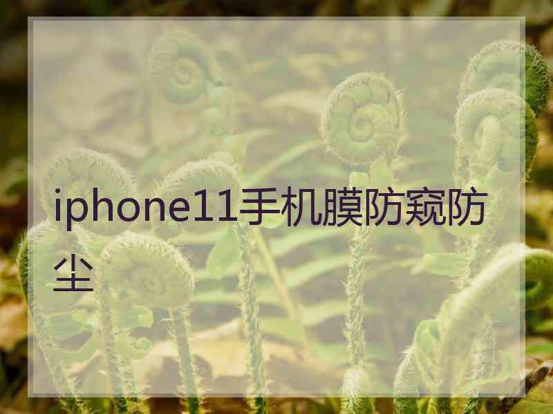 iphone11手机膜防窥防尘