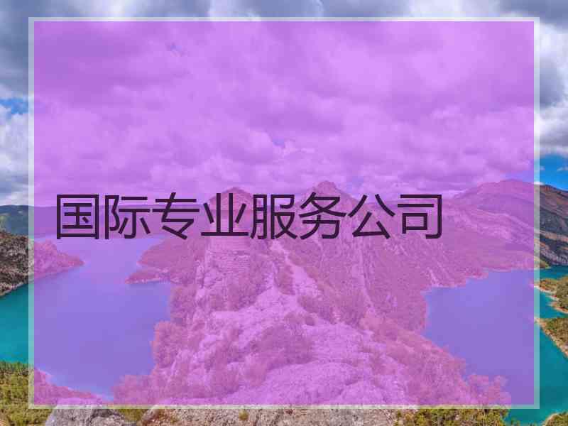 国际专业服务公司