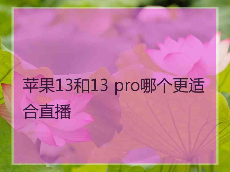 苹果13和13 pro哪个更适合直播