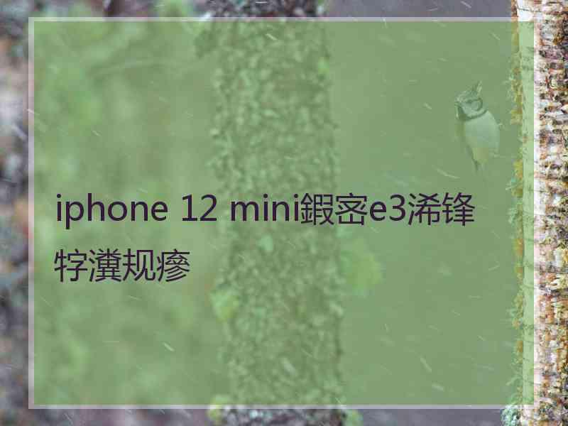 iphone 12 mini鍜宻e3浠锋牸瀵规瘮