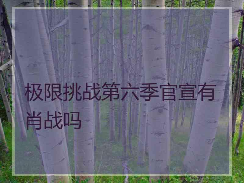 极限挑战第六季官宣有肖战吗