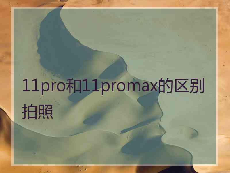 11pro和11promax的区别拍照