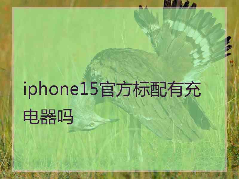 iphone15官方标配有充电器吗