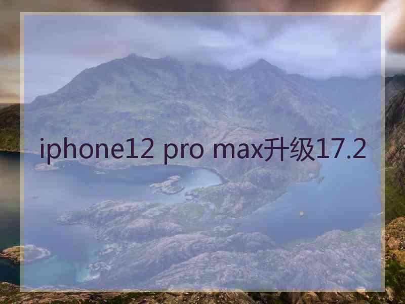 iphone12 pro max升级17.2