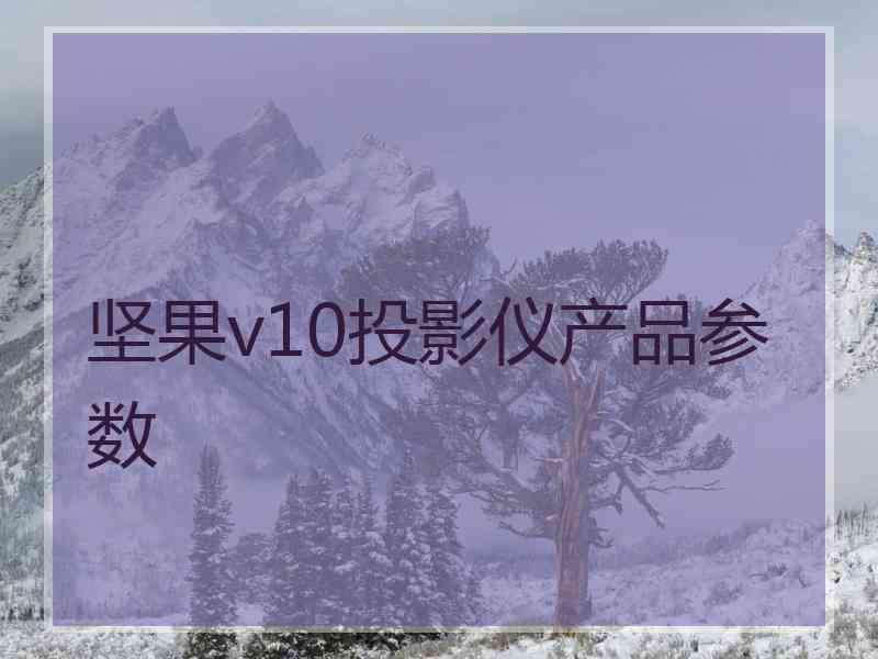 坚果v10投影仪产品参数