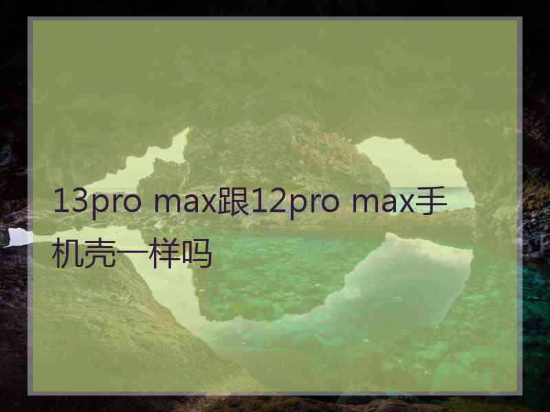 13pro max跟12pro max手机壳一样吗