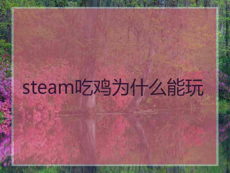 steam吃鸡为什么能玩