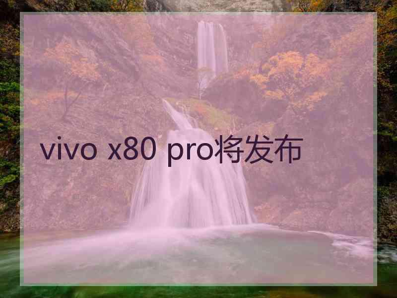 vivo x80 pro将发布