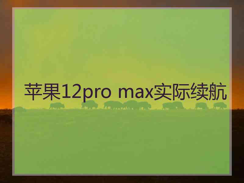 苹果12pro max实际续航