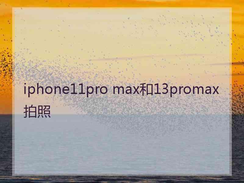 iphone11pro max和13promax拍照