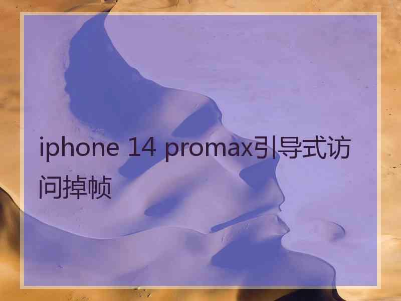 iphone 14 promax引导式访问掉帧