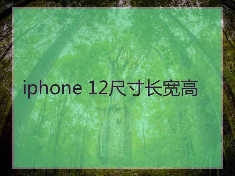 iphone 12尺寸长宽高