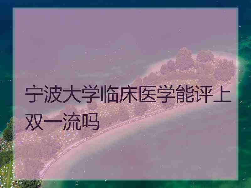 宁波大学临床医学能评上双一流吗