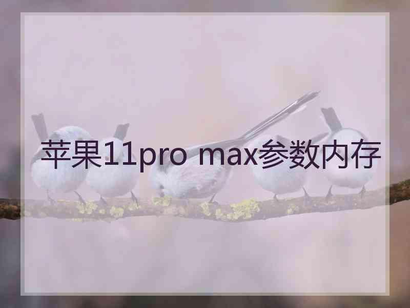 苹果11pro max参数内存