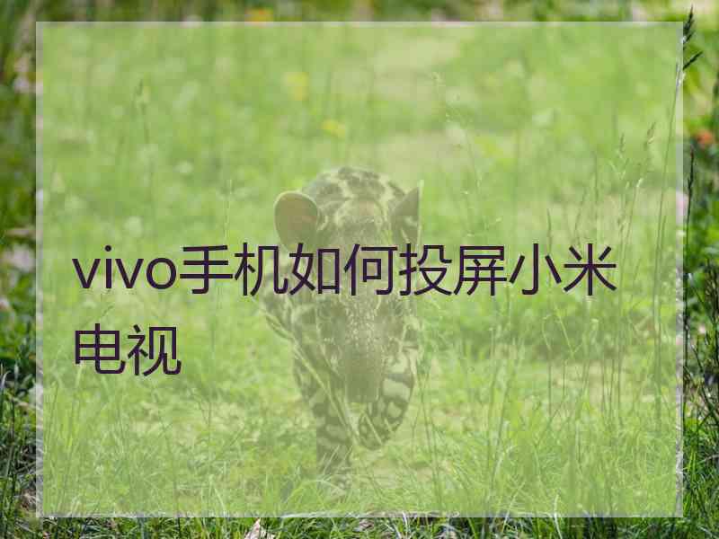 vivo手机如何投屏小米电视