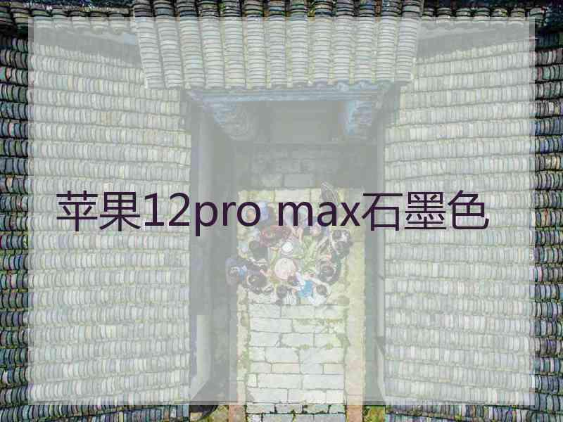 苹果12pro max石墨色