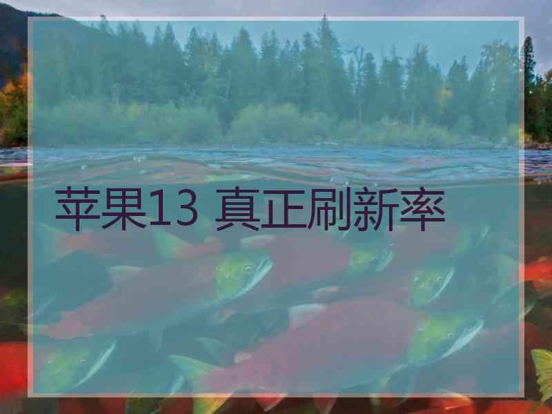 苹果13 真正刷新率