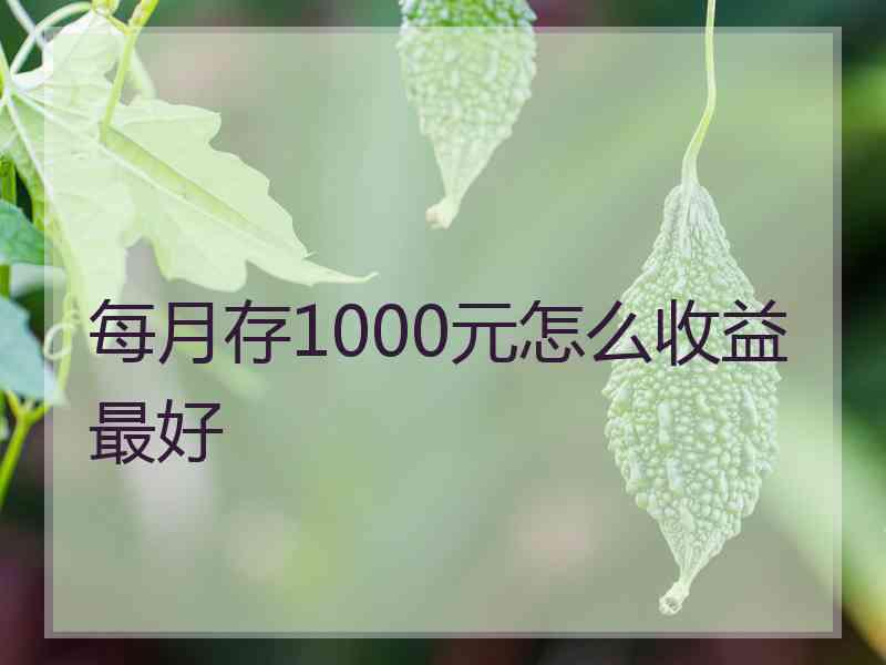 每月存1000元怎么收益最好