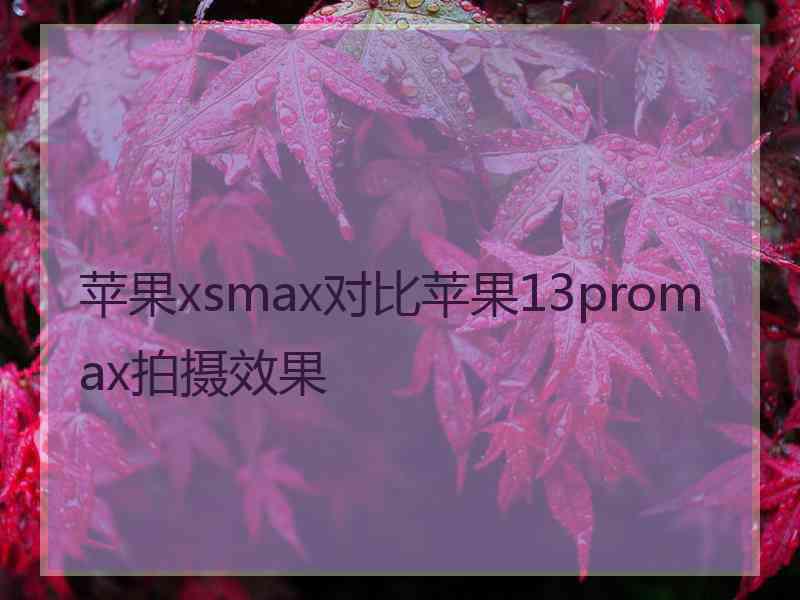 苹果xsmax对比苹果13promax拍摄效果