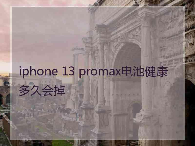 iphone 13 promax电池健康多久会掉