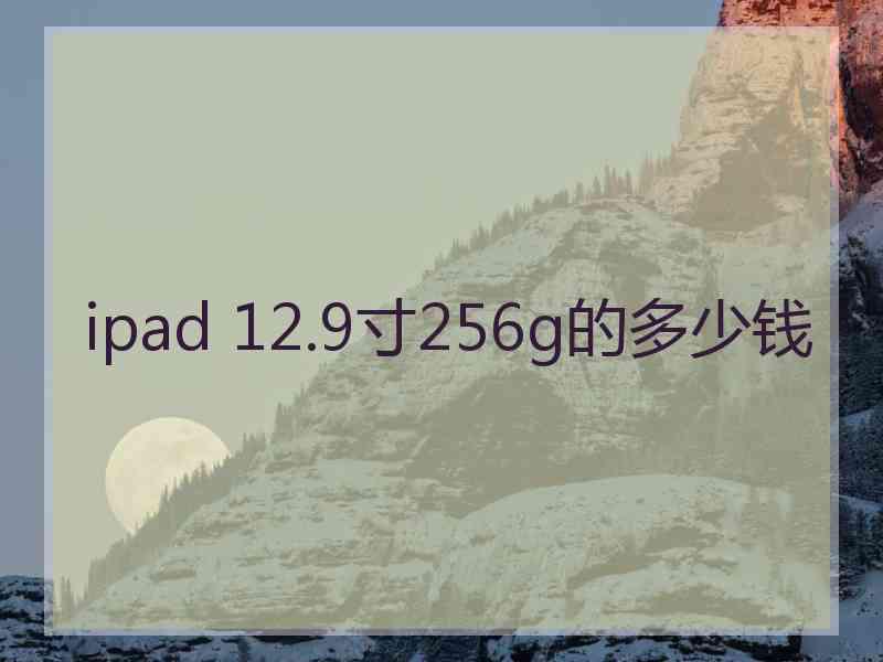 ipad 12.9寸256g的多少钱