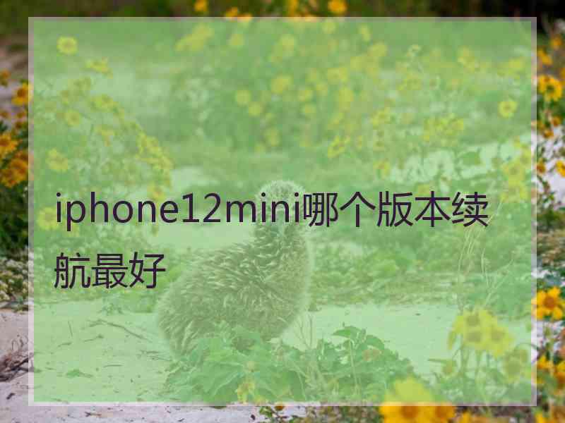 iphone12mini哪个版本续航最好